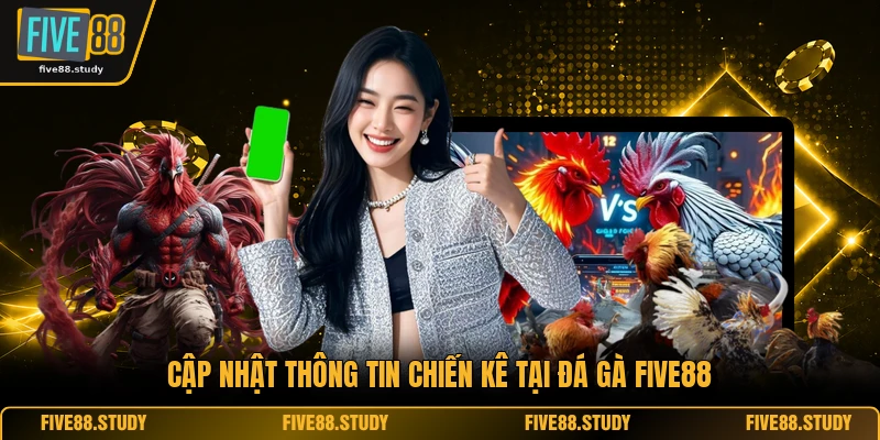 Cập nhật thông tin chiến kê tại đá gà FIVE88