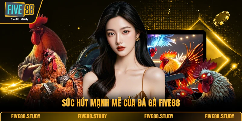 Sức hút mạnh mẽ của đá gà FIVE88