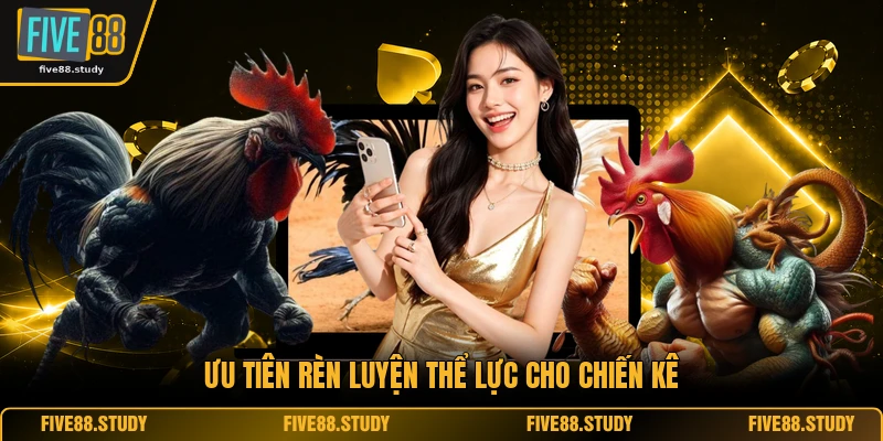 Ưu tiên rèn luyện thể lực cho chiến kê 